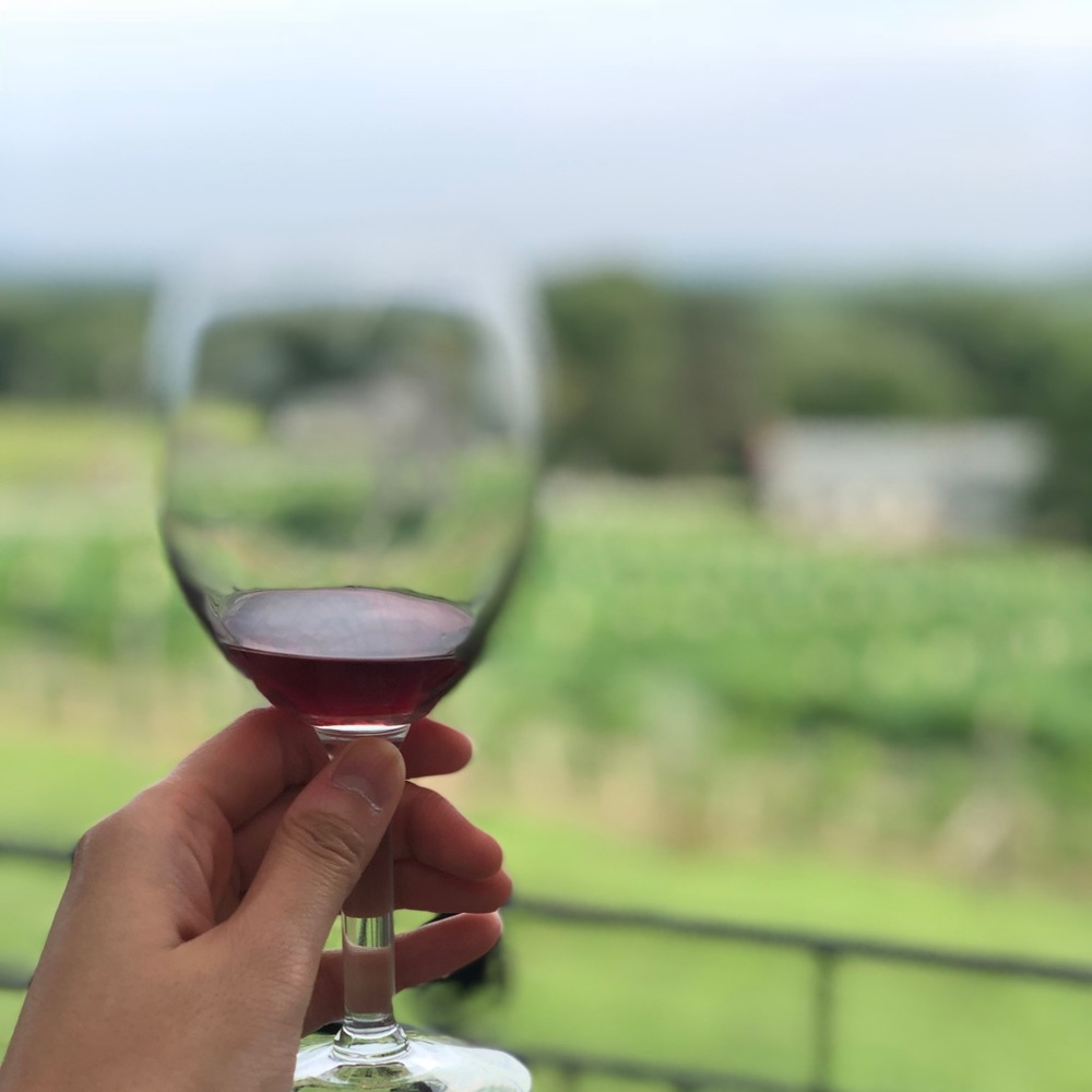 Meet your Posher, Irene